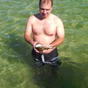 Island Ferry Tours To Shell Key | St Pete Tampa Clearwater