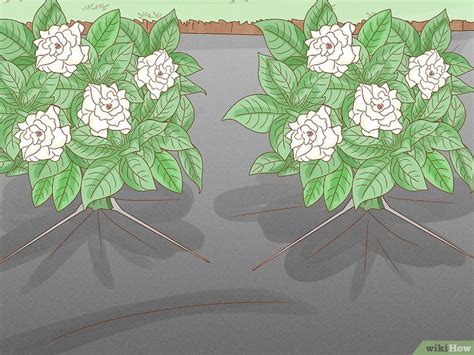 Image result for How to Install Landscape Rocks