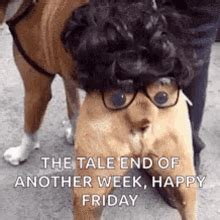 Funny Friday GIFs | Tenor