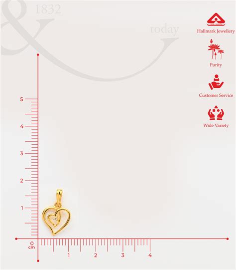 Chain Pendant | Buy Heart in heart chain pendant @OnlinePNG – P. N ...