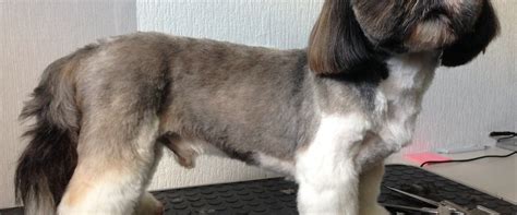 Germering Tourism (2023): Best of Germering, Germany - Tripadvisor