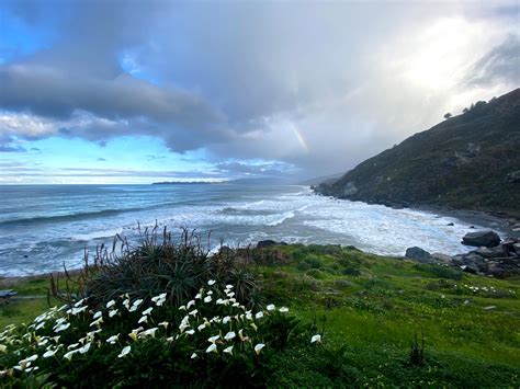 Steep Ravine Cabins & Campground: The Ultimate Guide - JohnVantine.com