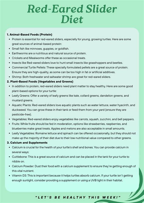 Red-Eared Slider Diet: A Complete Guide for a Healthy Turtle