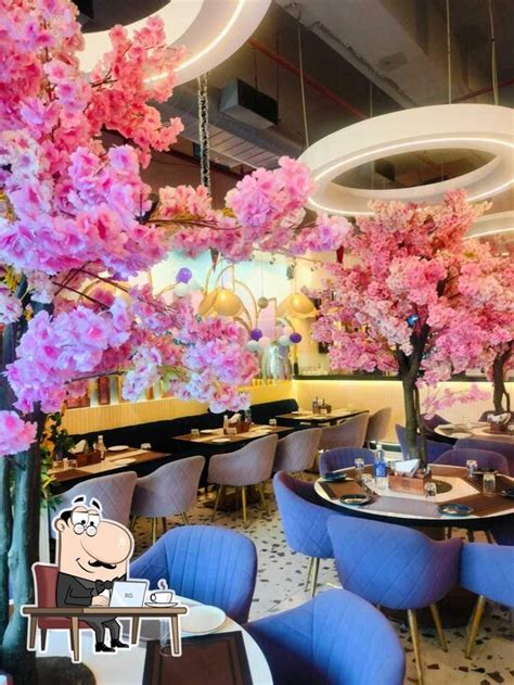 ZOCA Diner & Catering, Gurugram - Restaurant menu, prices and reviews