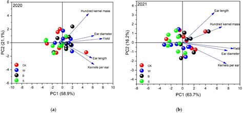 Transparent and Black Film Mulching Improve Photosynthesis and Yield of ...