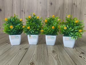 Decosoma Decosoma BG1 Bonsai Wild Artificial Plant with Pot Price in ...