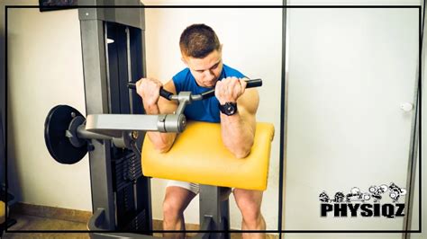 Image result for Muscles et Machines