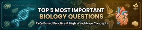 Top 5 Plant Physiology Questions for NEET (Important PYQs with Concepts)