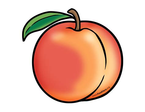 Peaches Illustration Artwork