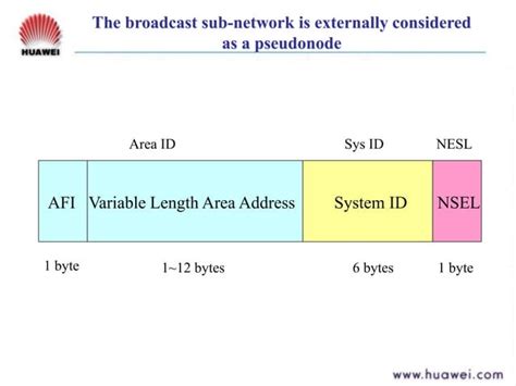 Image result for Is Is Routing Protocol