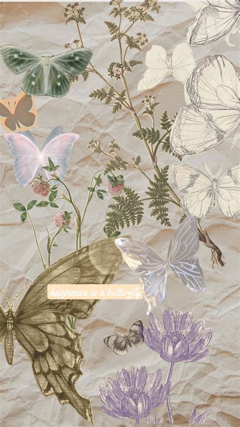 Image result for Butterfly Collage