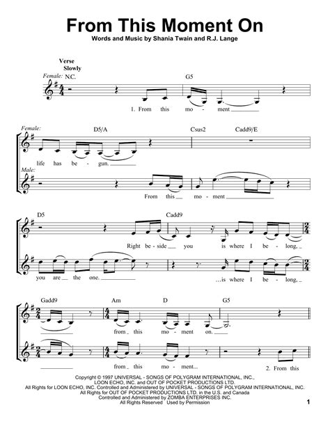 Shania Twain - From This Moment On sheet music