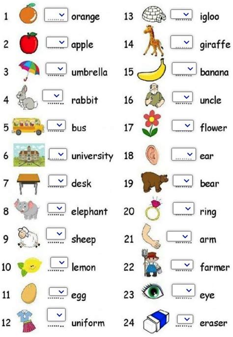 Image result for Havapoo Machine Embroidery Design