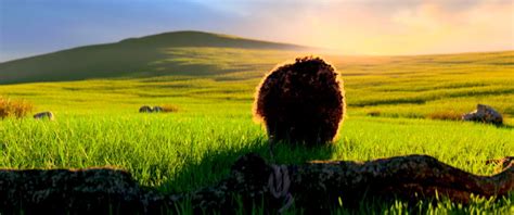 Image result for HDR Video Samples