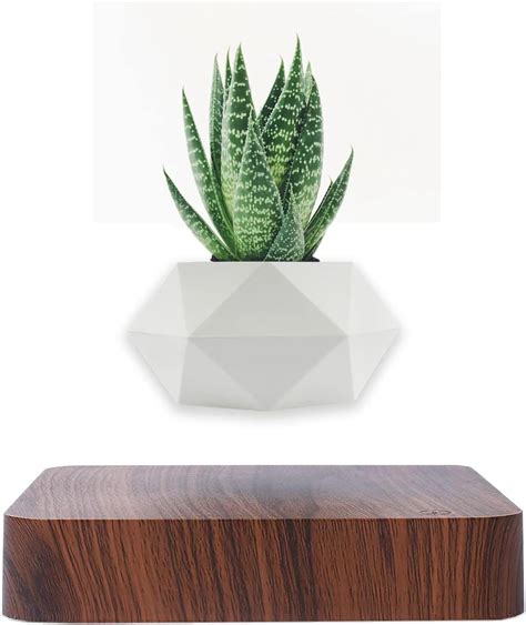 Buy Levitating Floating Plant Pot for Air Plants, Veqezn Magnetic ...