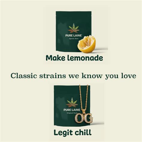 ROSE LifeScience Expands Pure Laine and Tam Tams Lineups