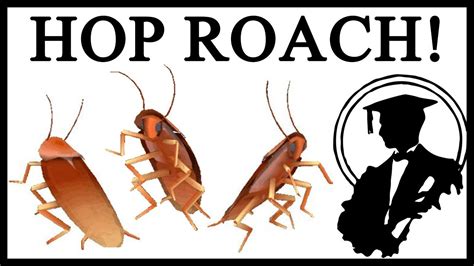 Dancing Cockroach Meme 的图像结果