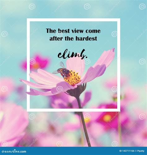 Inspire Motivation Life Quote on Flowers Background Stock Photo - Image ...