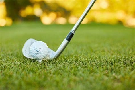 18 Birdies Golf App Tutorial 的图像结果