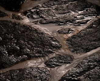 Tile City: Premium Wall and Floor Design Solutions | Tile City