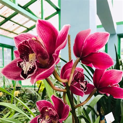 THE BEST Places to Visit in Takdah (2025) - Must-See Attractions