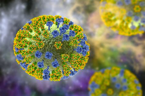 Influenza Virus H5n1