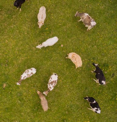 Image result for Remote Viewing America