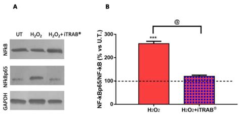 Can Polyphenols in Eye Drops Be Useful for Trabecular Protection from ...