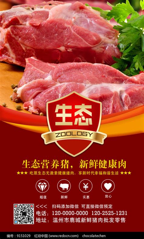 生态猪肉销售海报_红动网