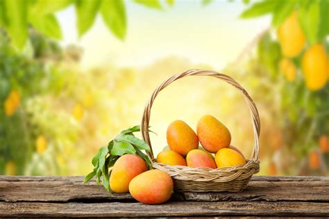 Mango butter benefits for skin – mars by GHC