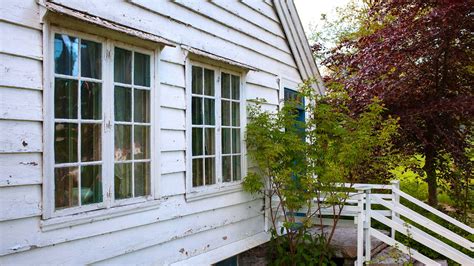 Ask an Expert - Dengarden