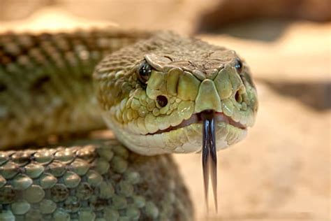 Image result for Operaciones Con Matrices Numpy Python