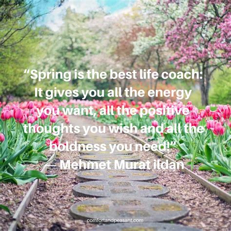 Optimistic Spring Quotes