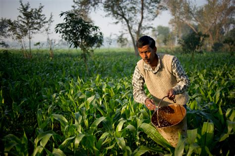 Greenpeace India launches Living Soils campaign in Bihar - Greenpeace India