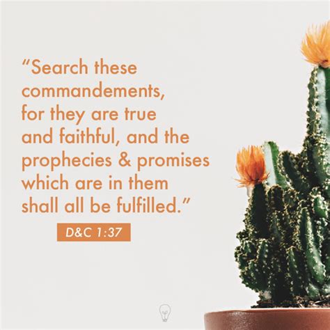 Image result for LDS Scriptures