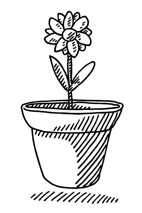 Premium Vector | Hand-drawn vector drawing of a flower pot plant. black ...