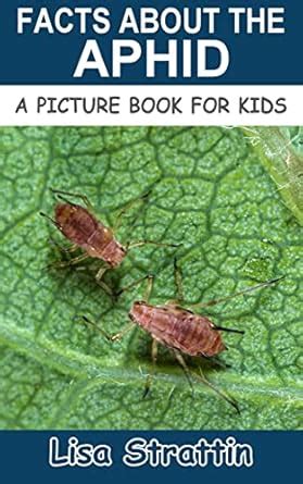Facts About the Aphid (A Picture Book For Kids 476) eBook : Strattin ...