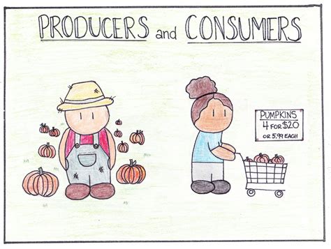 What Is The Difference Between Consumers Producers And Decomposers ...