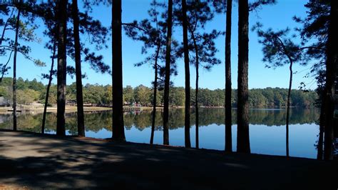 National, State, and Local Parks in MS – Visit Mississippi