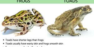 Image result for Menu Visual Basic Excel