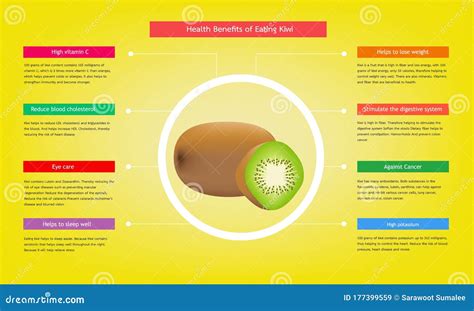 Infographic about Benefits of Kiwi Fruit for Health Concept for Agriculture and Healthy Food ...