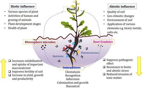 Plant-Environment Interactions Impact Factor at Isaac Dadson blog