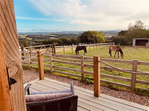 NEST AND NURTURE (Exeter, Devon) - Campground Reviews & Photos ...