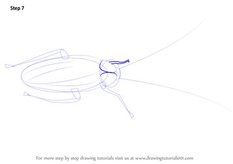 Image result for How to Draw a Cockroach Step by Step