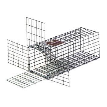 Image result for PVC Squirrel Trap