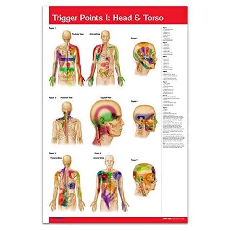 Buy Trigger Points I ChartTrigger Points II Chart - Reflexology Chart ...