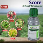 Syngenta Score Fungicide – Agriplex