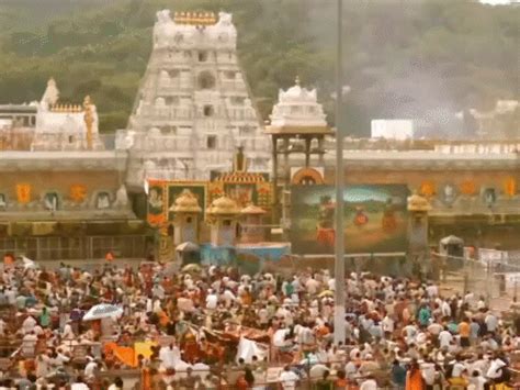 The management of Tirupati temple said - animal fat in the ladoo