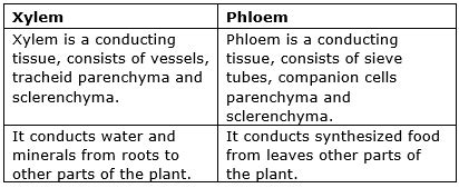 Write differences between (AS1) A. systole – diastole B. veins ...