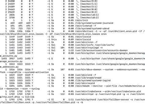Parent Process 的图像结果